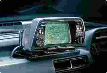 1981