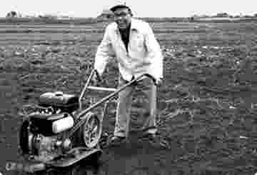 1953